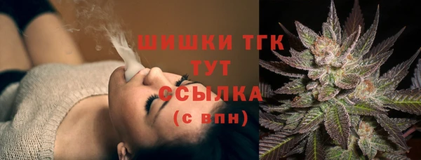 стаф Новозыбков